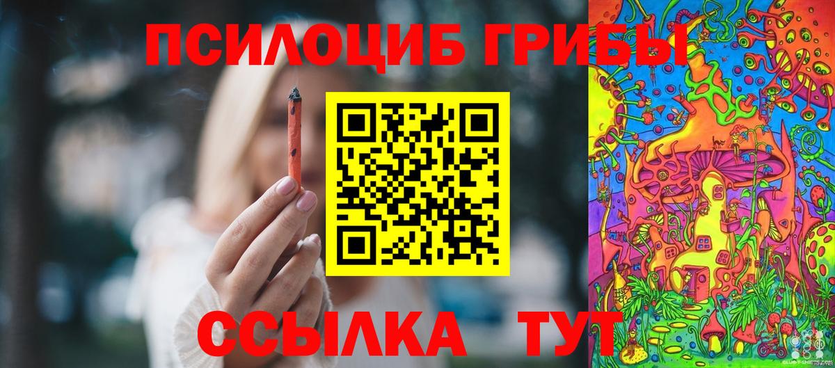 Новотроицк  Псилоцибиновые грибы мухоморы  Вход с VPN  Псилоцибиновые грибы мухоморы 